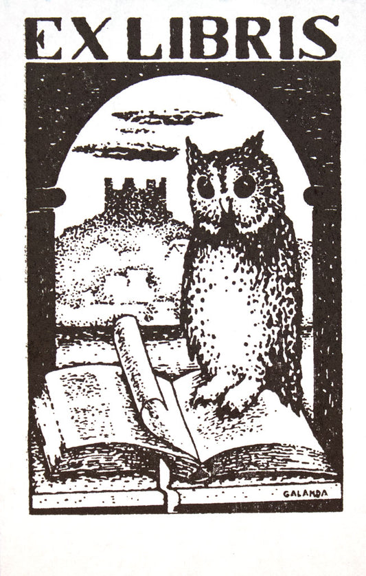 Owl
