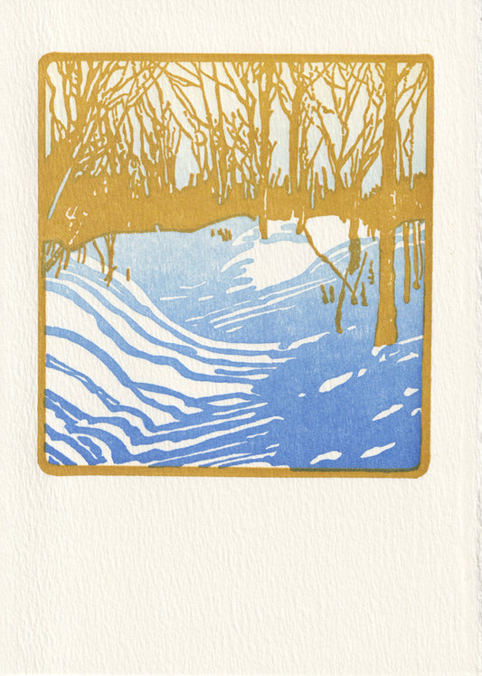 Winter Sunshine