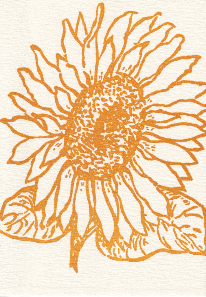 Sunny One